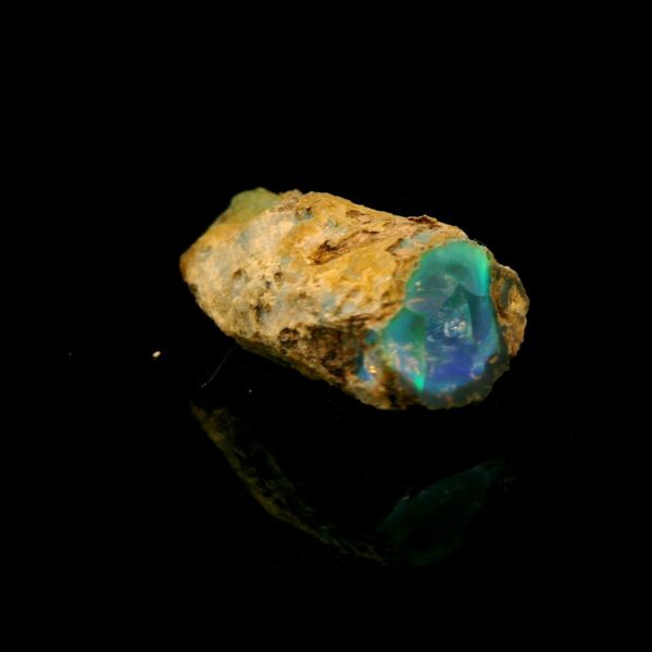 28.22 ct. Nevada Opal Limb Cast