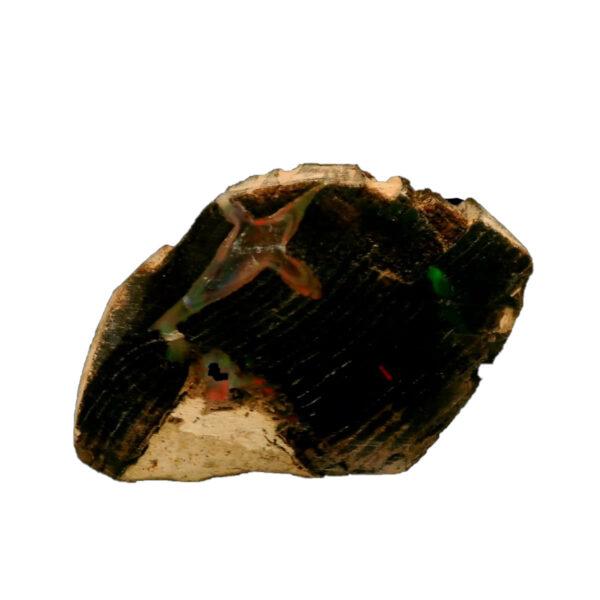 30.81 ct. Nevada Wood Opal